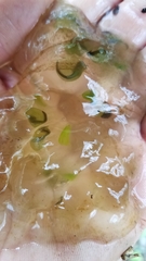 Oophila amblystomatis