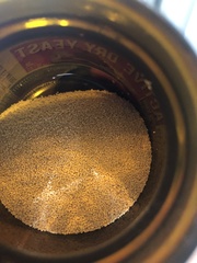 Saccharomyces cerevisiae