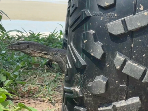 Common Water Monitor