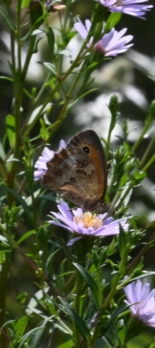 Gatekeeper