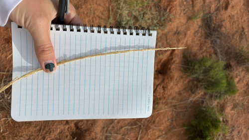 Spike Dropseed