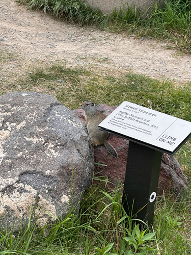 Uinta Ground Squirrel observed by echogill