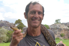 Acrantophis dumerili