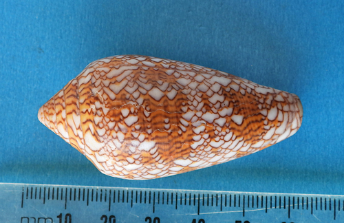 Textile Cone