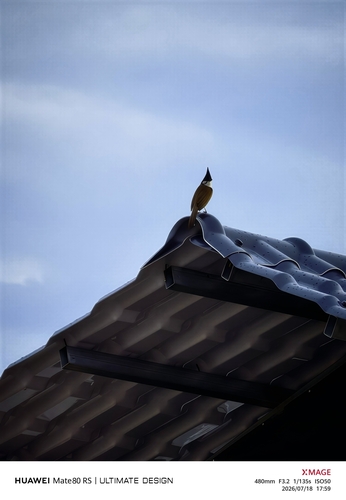 Red-whiskered Bulbul