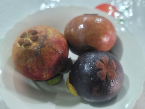 Mangosteen