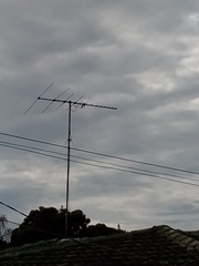 Rhipidura leucophrys