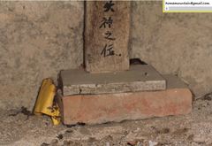 Anthophora melanognatha