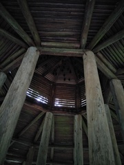 Hipposideros armiger terasensis