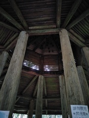 Hipposideros armiger terasensis