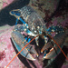 European Lobster - Photo (c) Bernard Picton, some rights reserved (CC BY), uploaded by Bernard Picton