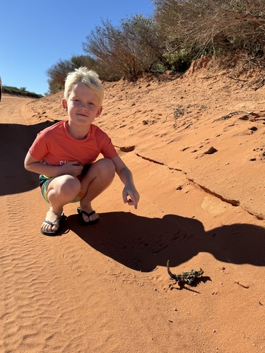 Thorny Devil