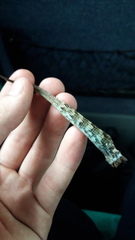 Stenocercus guentheri