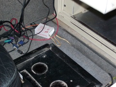 Platyceps rhodorachis