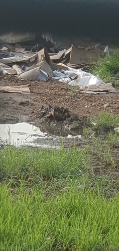 iNaturalist image