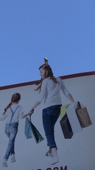 Ictinia mississippiensis