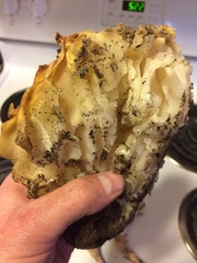 Daleomyces phillipsii