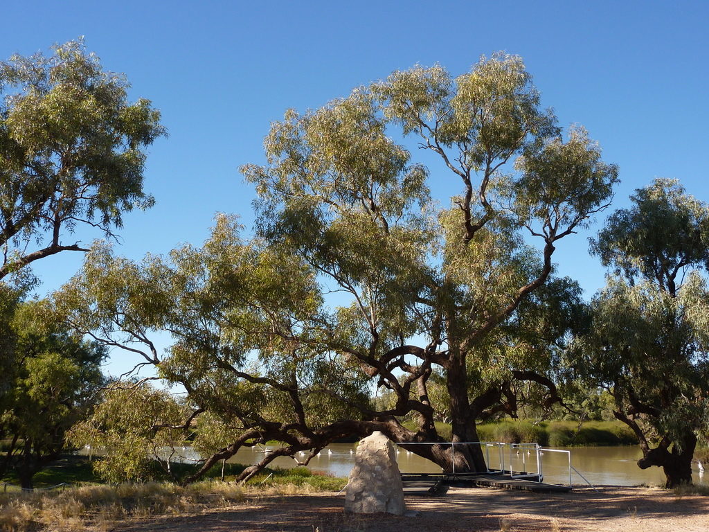 Coolabah from Durham QLD 4492, Australia on June 11, 2011 at 09:58 AM ...