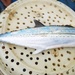 King Mackerel - Photo (c) ctorres, some rights reserved (CC BY-NC)