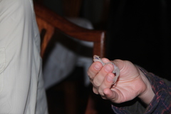 Hemidactylus mabouia