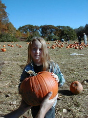 Cucurbita maxima maxima