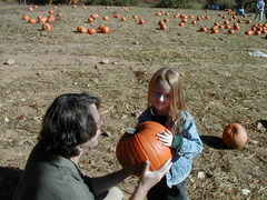 Cucurbita maxima maxima