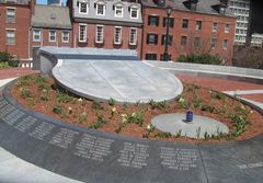 Narcissus pseudonarcissus