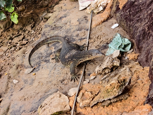 Common Water Monitor