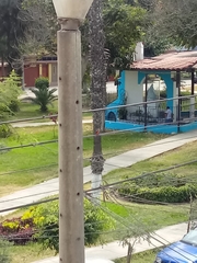 Pyrocephalus rubinus obscurus