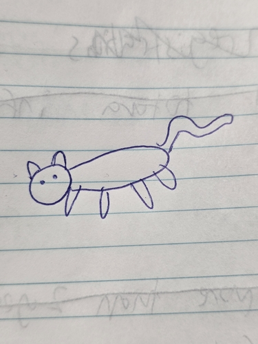 Gato montés africano (Felis lybica)