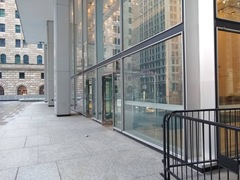 Zonotrichia albicollis