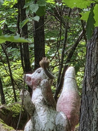 Siberian Chipmunk