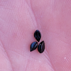 Polygonum paronychia, photograph (c) Konshau Duman, some rights reserved (CC BY)