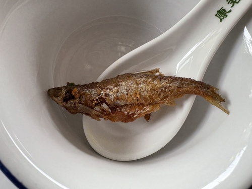 Silver Blade Minnow