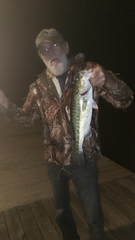 Micropterus henshalli