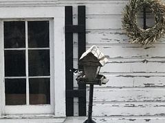 Pheucticus ludovicianus