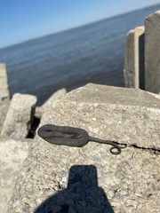 Nerodia sipedon insularum