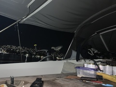 Nycticorax nycticorax