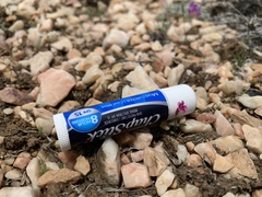 Erythranthe androsacea