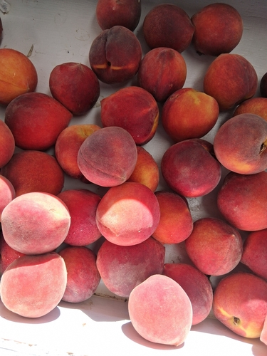 Peach