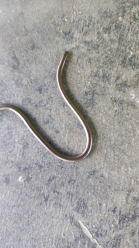 Epictia borapeliotes