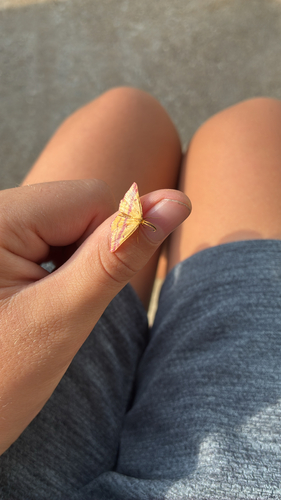 Chickweed Geometer Moth