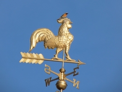 Phoenicurus phoenicurus