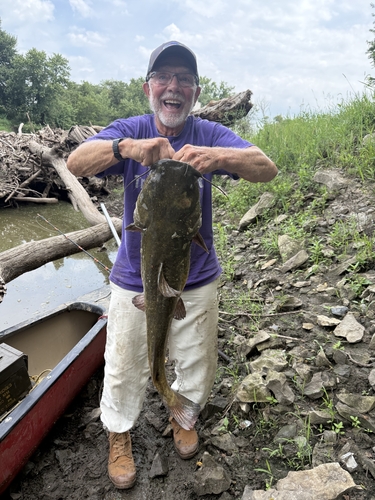 Flathead Catfish