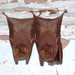 Smoky Bat - Photo (c) Joaquín Ugarte, some rights reserved (CC BY-NC), uploaded by Joaquín Ugarte