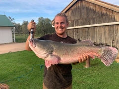 Murray Cod photo 1
