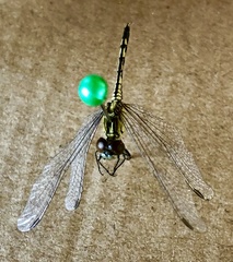 Diplacodes trivialis