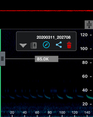 Chalinolobus gouldii