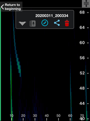 Chalinolobus gouldii
