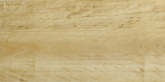 Flacourtia indica